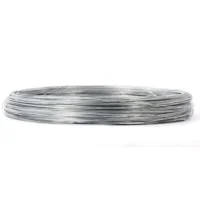 Bobina de alambre de acero galvanizado 1/5kg